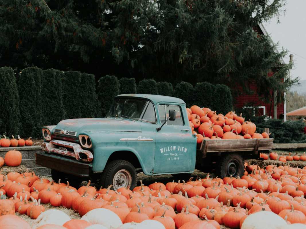 Seasonal Superfoods That Deserve More Attention